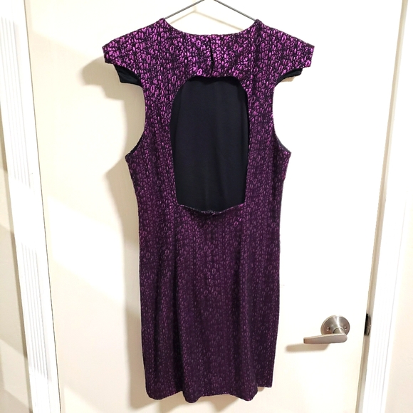 Nasty Gal Black Lace Dress (Cap Sleeve) - Picture 2 of 4